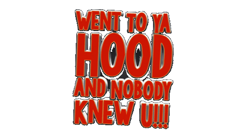 WENT 2 YA HOOD
